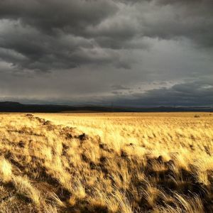 Meet your Posher, William bill